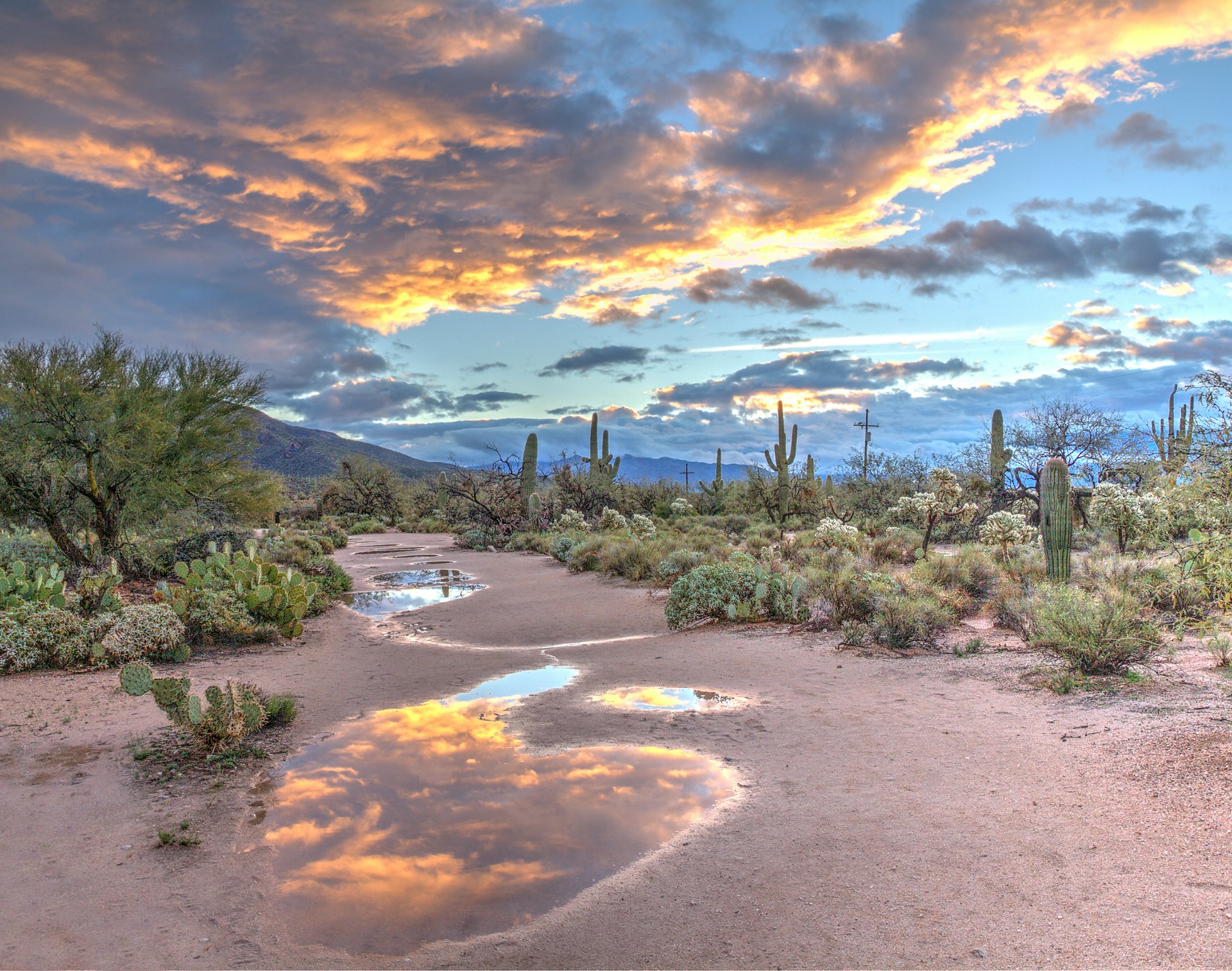 Chiricahua National Monument — Willcox, Arizona